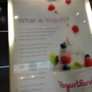 YogurtLand - Yogurt