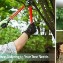 C&C tree services - Tree Service