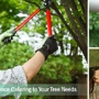 Lobo Tree Service