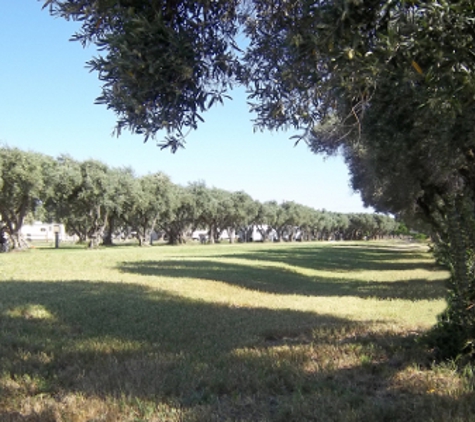 Corning RV Park - Corning, CA