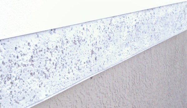 Steve's Service & Stucco Repair LLC - melbourne, FL