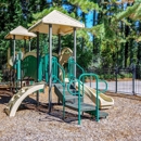Dunwoody Village Apartment Homes - Apartments