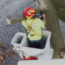 Swartz Tree Service