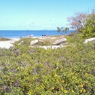 Emerson Point Preserve