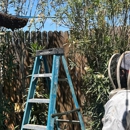Busy Bee Pest Solutions - Pest Control Equipment & Supplies