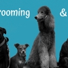 New Hope Boarding & Grooming gallery