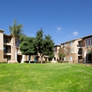 Pinnacle at Otay Ranch Apartments - Apartments