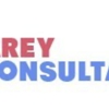 Carey Consultants gallery