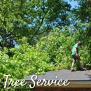 Sox & Freeman Tree Expert Co - Arborists