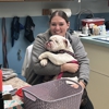 VCA Findlay Animal Care Center gallery