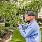 Spring-Green Lawn Care