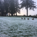 Lake Quinault Lodge