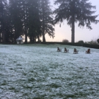 Lake Quinault Lodge