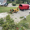 Georgia Tree Masters - Tree Service