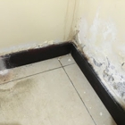 Ace Mold Remediation Fort Worth