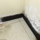 Ace Mold Remediation McKinney