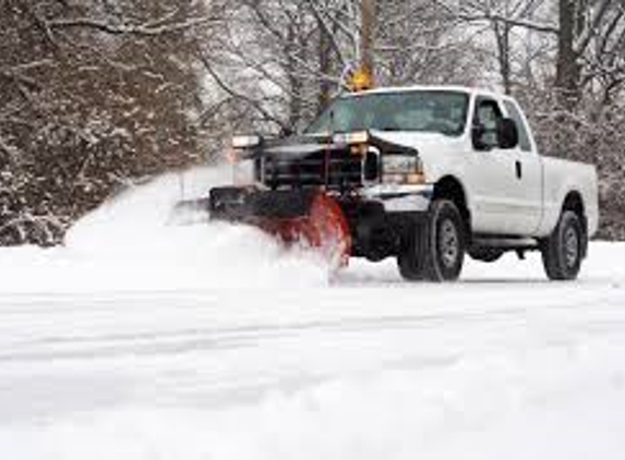 Tree & Snow Removal Services