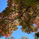 Valleau Cemetery - Cemeteries