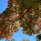 Valleau Cemetery