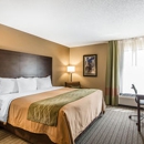 Comfort Inn & Suites Kansas City - Northeast - Motels