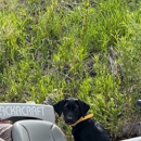 Riverstone Outfitters