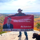 Jacob Bramel - State Farm Insurance Agent - Insurance