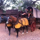 Denny's Wigwam & Curio - Tourist Information & Attractions