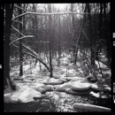 Ward Pound Ridge Reservation - Parks