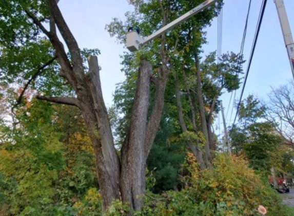 4 Seasons Tree Service - Newburgh, NY