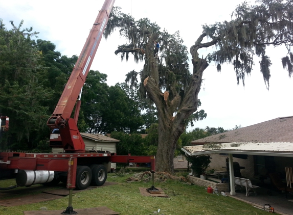 Odom's Beaches Tree Service - Jacksonville, FL