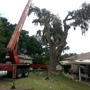 Odom's Beaches Tree Service