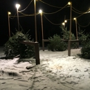 Trinity Tree Farm - Christmas Trees