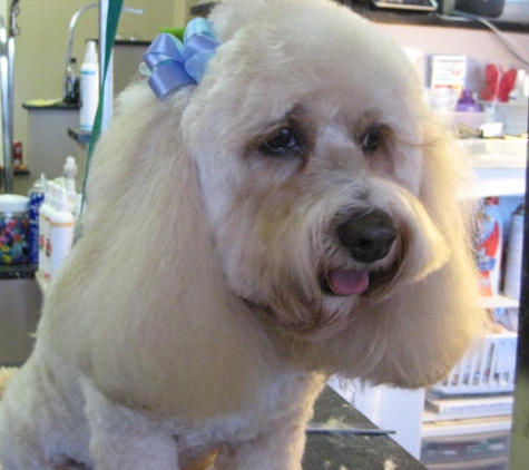 Clipper Ship Pet Grooming - Lake Mary, FL