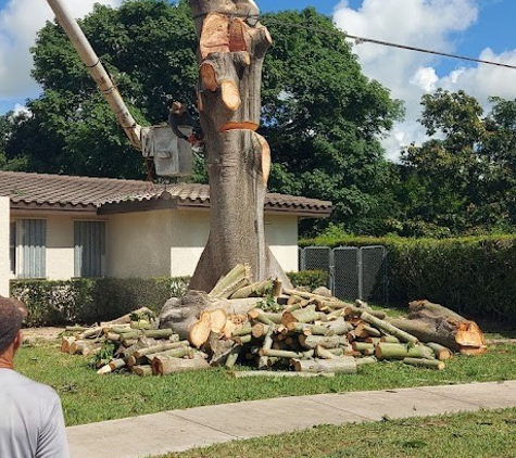 Acosta Tree Service - Miami, FL