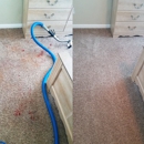Demos Carpet Cleaning - Carpet & Rug Cleaners