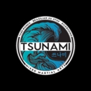 Tsunami Mixed Martial Arts - Martial Arts Instruction