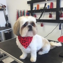 Posh Puppies Grooming - Pet Services