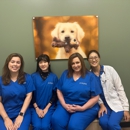 CityVet | Alexandria King Street Veterinary Clinic & Urgent Care - Pet Services