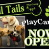 All Tails R Waggin' gallery