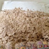 Complete Pest Control Services gallery