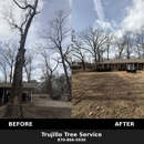 Trujillo Tree Service - Tree Service