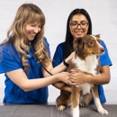 CityVet | Verrado Veterinary & Urgent Care - Pet Services