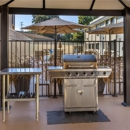 Best Western Town & Country Lodge - Hotels
