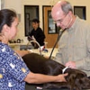 Newport Harbor Animal Hospital gallery