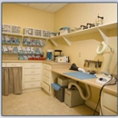 Dr. Amy Loden, DDS - Dentists