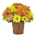 The Bird's Nest Florist & Gifts - Flowers, Plants & Trees-Silk, Dried, Etc.-Retail