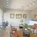 The Sanctuary Wellness Institute