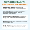 Bailey's CBD For Pets gallery