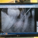 New Image Dental - Dentists