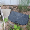 Skunk Bait Wildlife And Pest Control - Edmond gallery